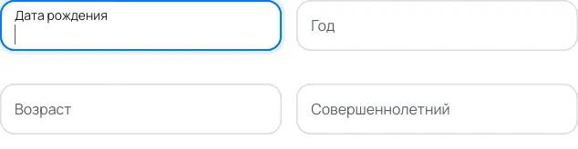 Пример заполнения: Дата рождения в анкете