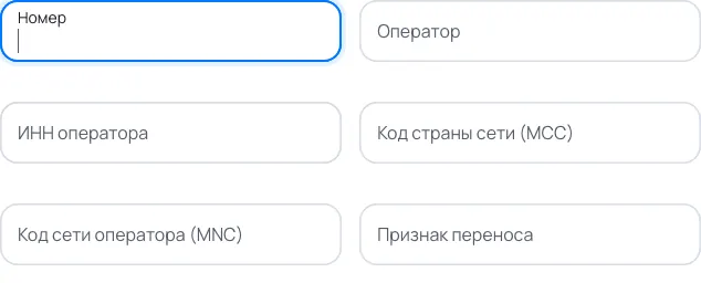 Пример заполнения: Оператор номера в службе поддержки